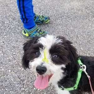 Meet your Posher, Melanie